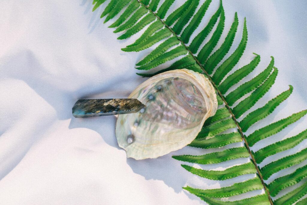Labradorite Quartz and Shell Near Green Leaves